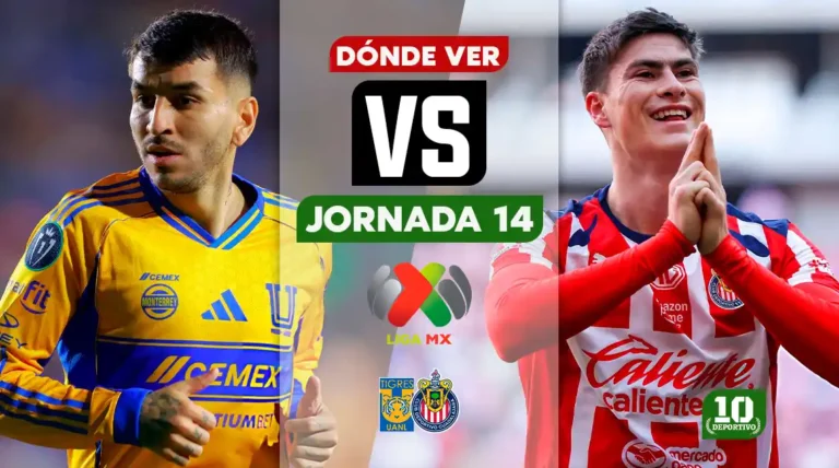 Tigres vs Chivas: horario, canal y dónde ver EN VIVO la Jornada 14